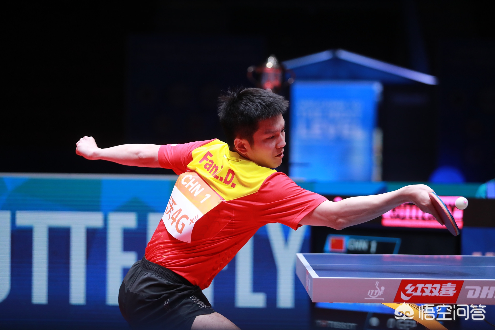 的进步都肉 的进步都肉